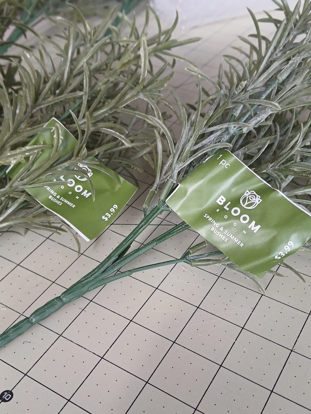 bloom set includes